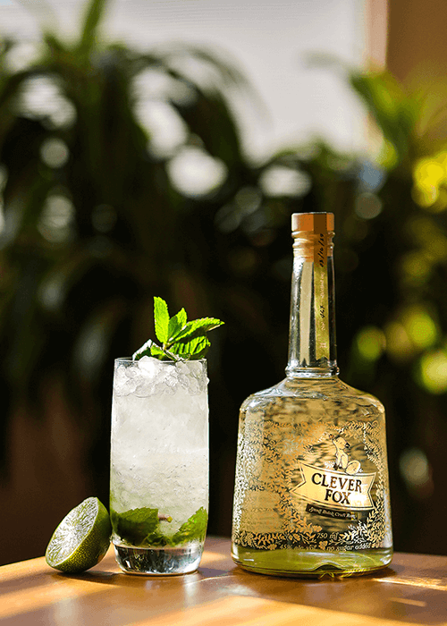 http://shopcleverfoxrum.com/cdn/shop/files/clever-fox-rum-silver-750ml-craft-rum-with-mojito.png?v=1691004178